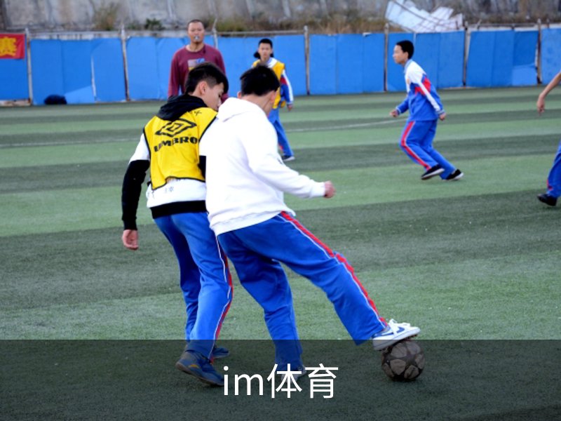 im体育简介